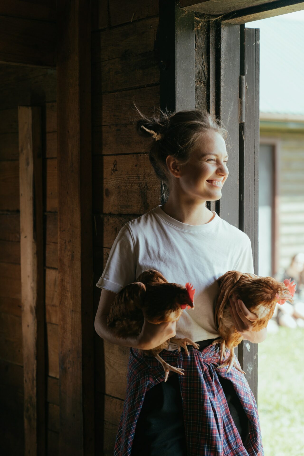 Chicken farmer holding two chickens